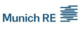 MUNICH REINSURANCE CO HK BRA logo