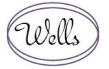 WELLS (HONG KONG) LIMITED logo