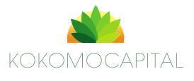 KOKOMO CAPITAL LIMITED logo