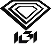 INTERNATIONAL GEMOLOGICAL INSTITUTE (HK) LIMITED logo