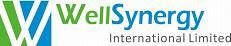 WELL SYNERGY INTERNATIONAL LTD logo