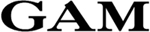 GAM HONG KONG LIMITED logo