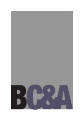 BRIAN CHAN & ASSOCIATES logo