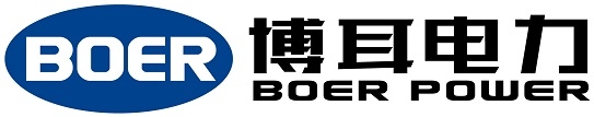 BOER POWER HOLDINGS LIMITED logo