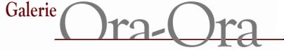 ORA-ORA INTERNATIONAL LIMITED logo