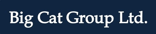 BIG CAT GROUP LTD logo