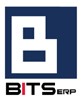 BITS LIMITED logo