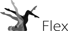 FLEX logo