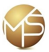 VMS INVESTMENT GROUP (HK) LIMITED logo