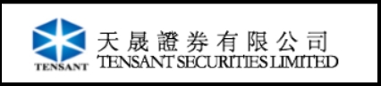 TENSANT SECURITIES LIMITED logo