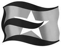 EXECUTIVE SHIP MANAGEMENT PTE LTD logo