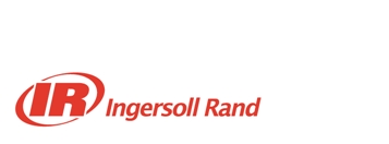 WORLD STANDARD LTD logo