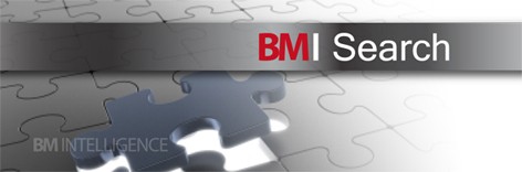 BMI SEARCH LIMITED logo