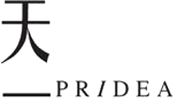 PRIDEA COMMUNICATIONS LIMITED logo