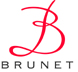 BRUNET INTERNATIONAL (HONG KONG) LTD logo