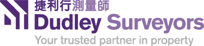 DUDLEY SURVEYORS LIMITED logo