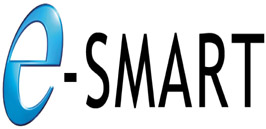 E-SMART SYSTEM INC logo