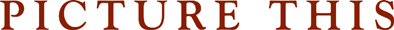 PICTURE THIS LTD. logo