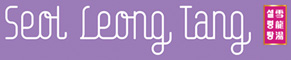 SEOLLEONG logo