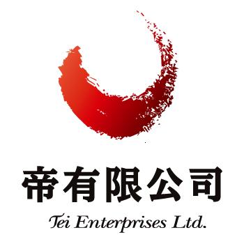 TEI  ENTERPRISES LIMITED logo