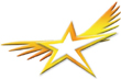 WINSTAR INTERNATIONAL ENTERPRISE LIMITED logo