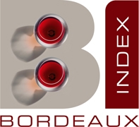 BORDEAUX INDEX (HONG KONG) LTD logo