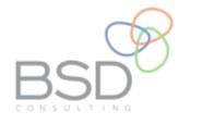 BSD CONSULTING CHINA LTD logo