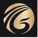 HK NOBLE SKY TREASURE SECURITIES LTD logo