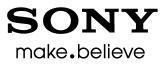 SONY COMPUTER ENTERTAINMENT HONG KONG LIMITED logo