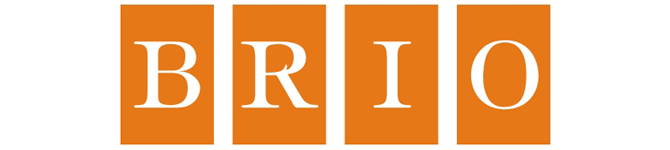 BRIO ELECTRONIC COMMERCE LIMITED logo
