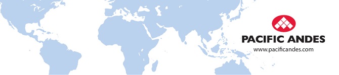 PACIFIC ANDES ENTERPRISES (HONG KONG) LIMITED logo