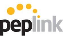 PEPLINK INTERNATIONAL LIMITED logo