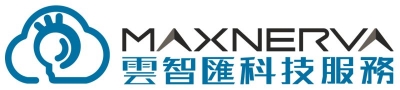 MAXNERVA TECHNOLOGY SERVICES LIMITED logo