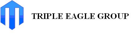 TRIPLE EAGLE (GROUP) LIMITED logo