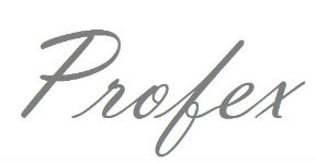 PROFEX INTERNATIONAL (HONG KONG) LIMITED logo