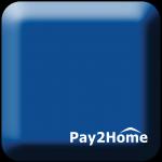 PAY2HOME PTE LIMITED logo