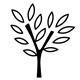 TRULY DY LIMITED logo