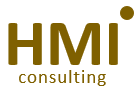 HMI CONSULTING LIMITED logo