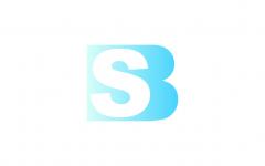 SKY BEST CPA LIMITED logo