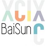 BAI SUN INTERNATIONAL LIMITED logo