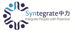 SYNTEGRATE CONSULTING LIMITED logo