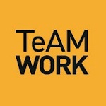 TEAM WORK DESIGN LIMITED logo
