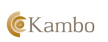 KAMBO LOCKSETS LIMITED logo