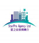 STARPRO AGENCY LIMITED logo