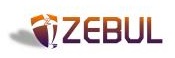 ZEBUL INTERNATIONAL CO logo