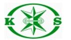 KINGSTAR INTERNATIONAL TRADING LIMITED logo